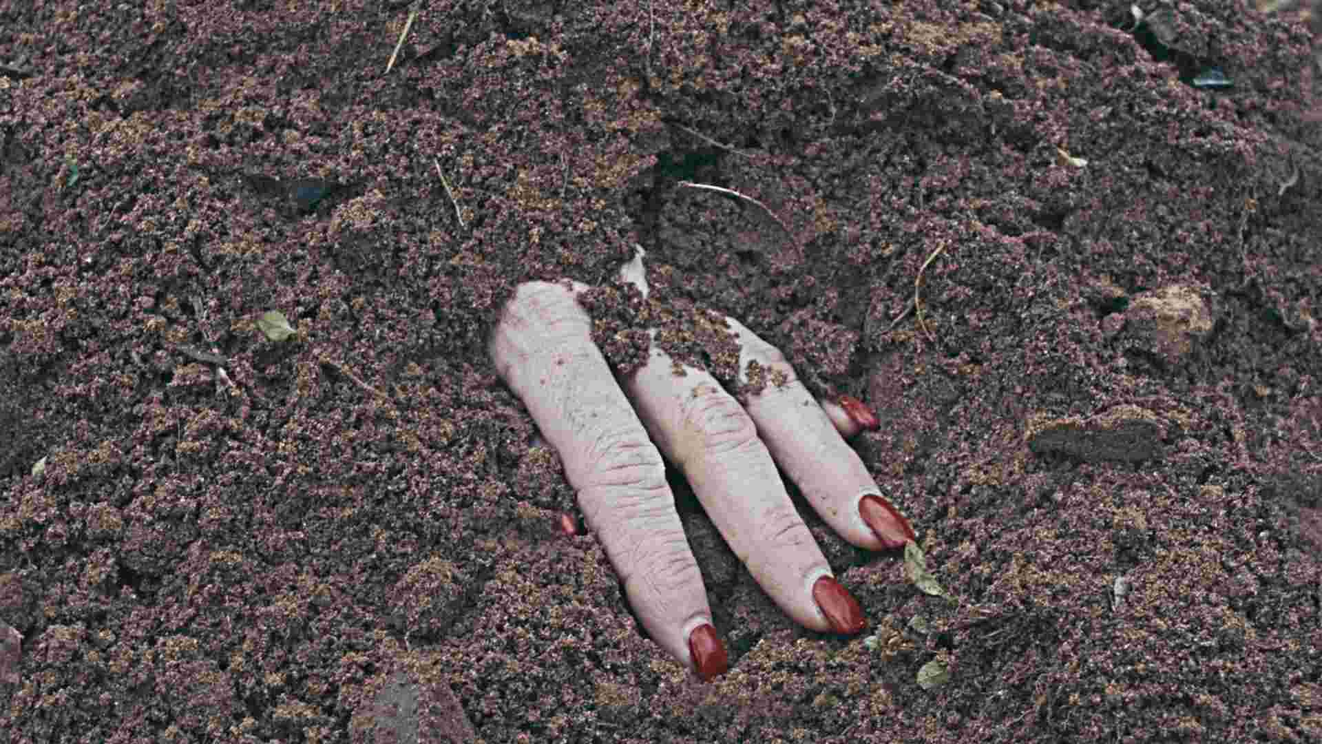 Copertina: Tenebra il noir tra casi irrisolti e vendetta su Lumen TV